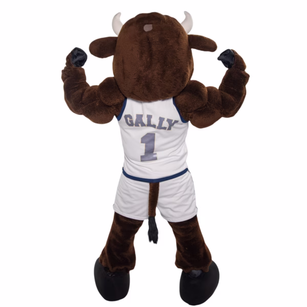 Bulk bobbleheads 10-2000 personalized gallaudet bison masco university masco bobbleheads