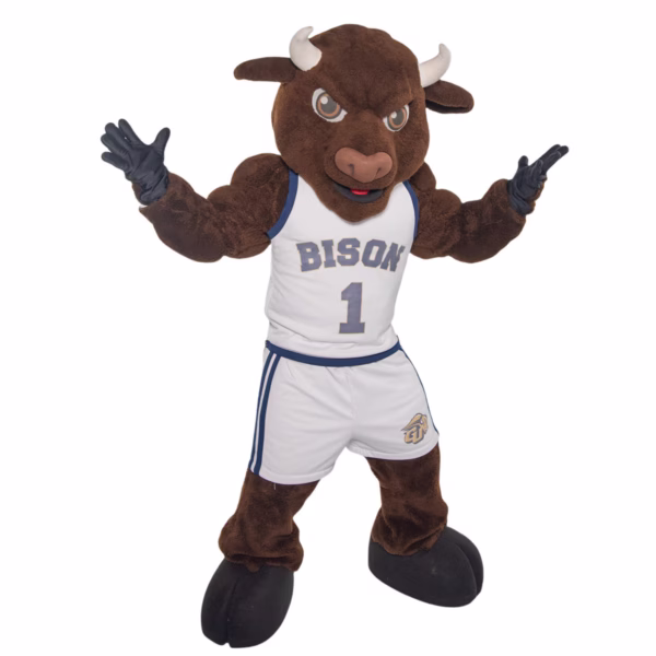 Bulk bobbleheads 10-2000 personalized gallaudet bison masco university masco bobbleheads